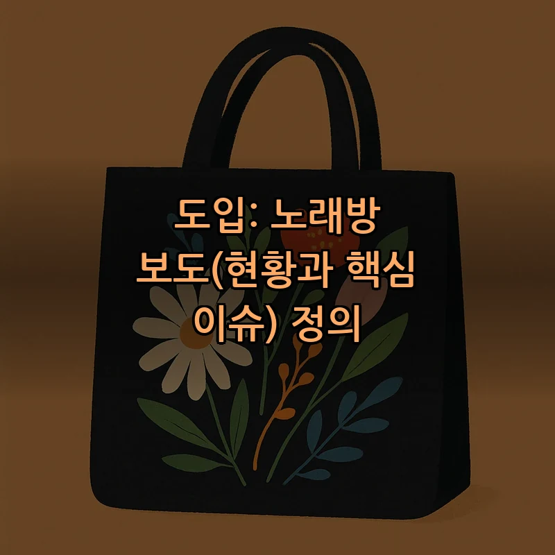 도입: 노래방 보도(현황과 핵심 이슈) 정의