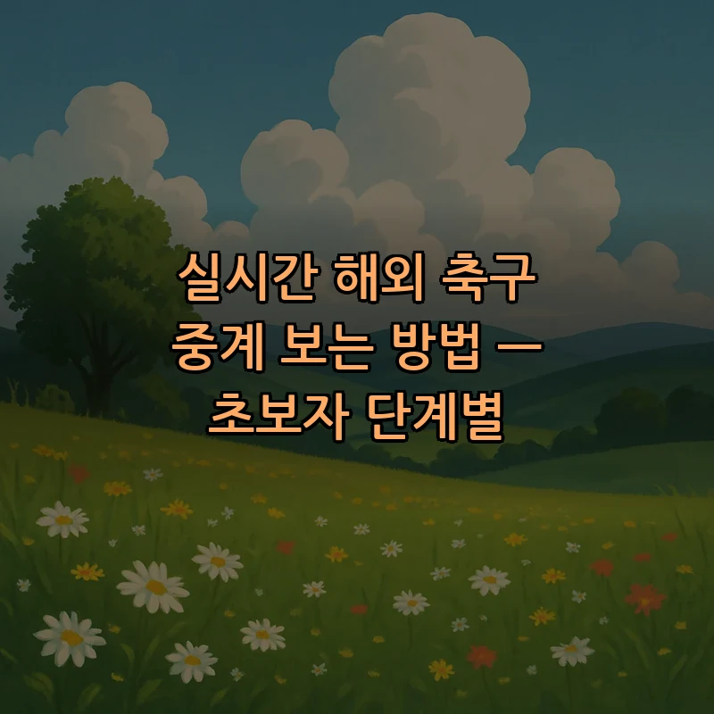 실시간 해외 축구 중계 보는 방법 — 초보자 단계별