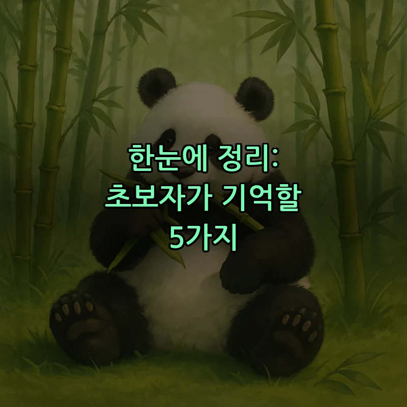 한눈에 정리: 초보자가 기억할 5가지
