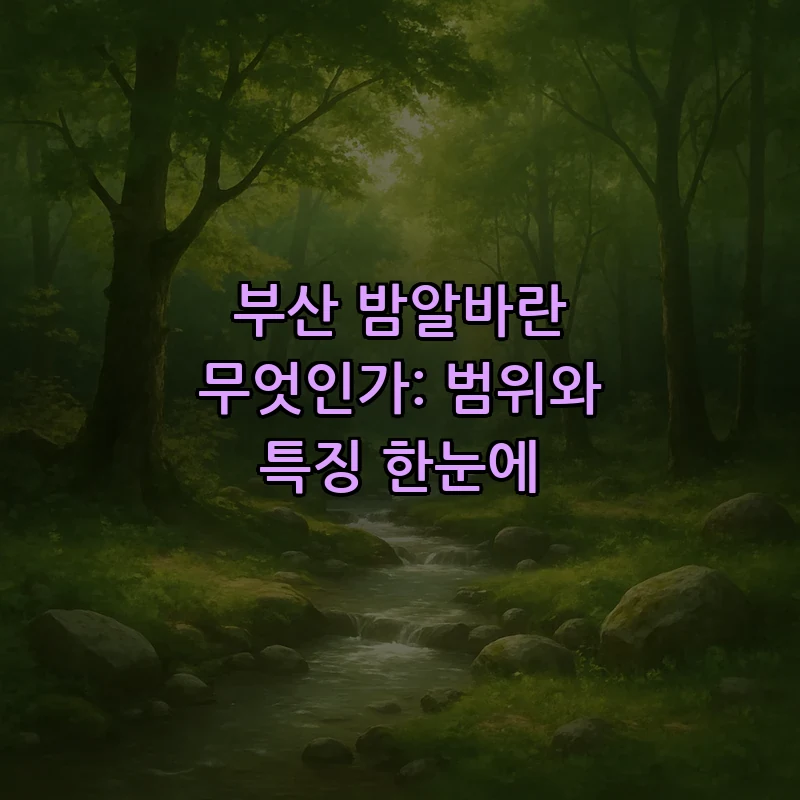 부산 밤알바란 무엇인가: 범위와 특징 한눈에