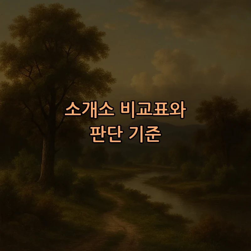 소개소 비교표와 판단 기준