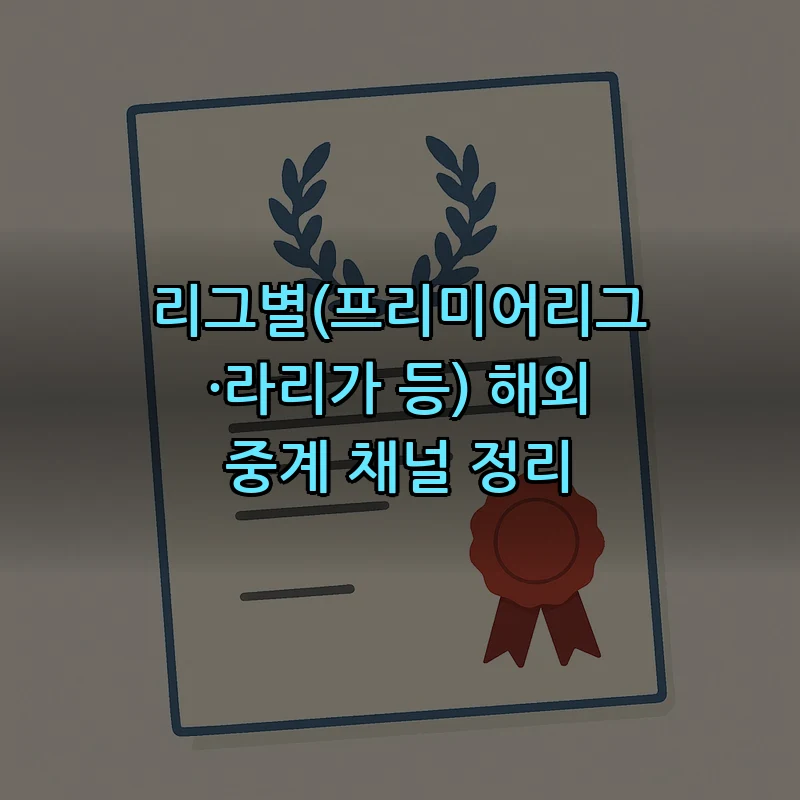 리그별(프리미어리그·라리가 등) 해외 중계 채널 정리