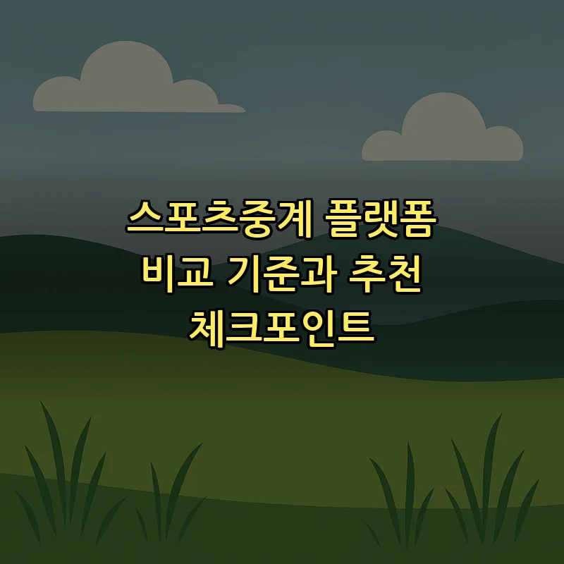 스포츠중계 플랫폼 비교 기준과 추천 체크포인트