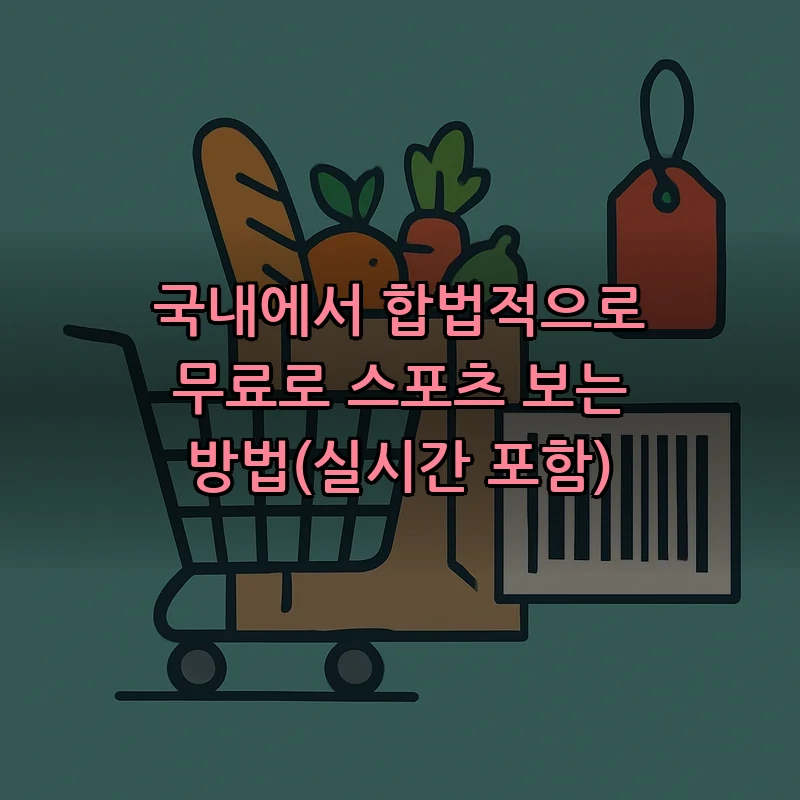 국내에서 합법적으로 무료로 스포츠 보는 방법(실시간 포함)