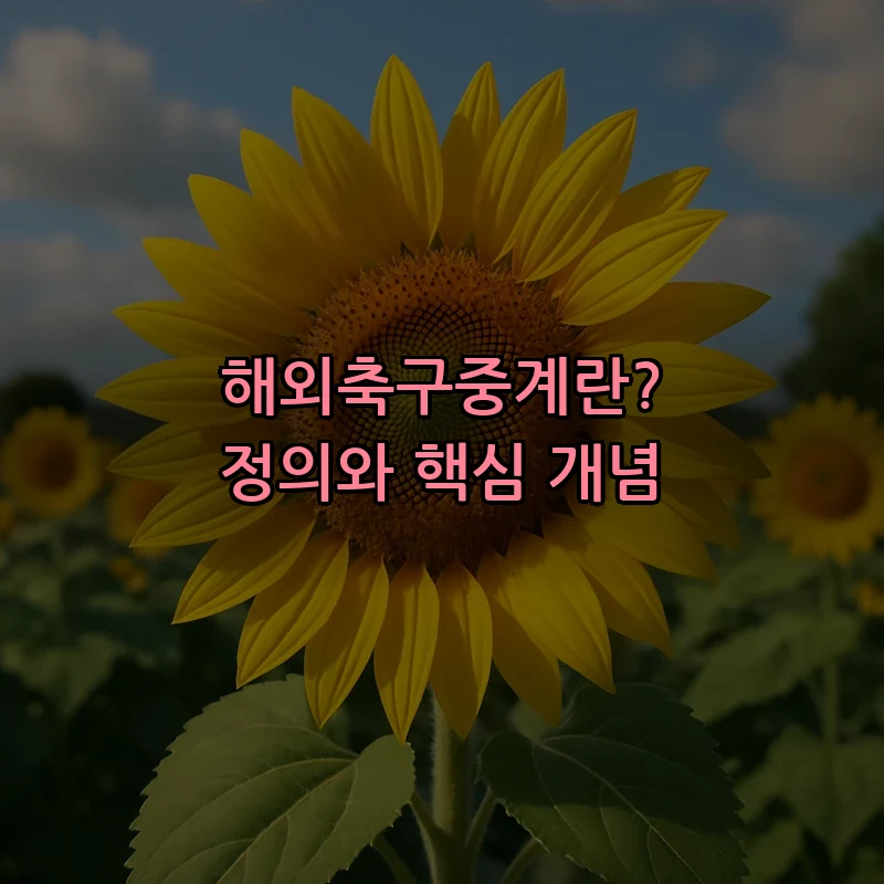 해외축구중계란? 정의와 핵심 개념