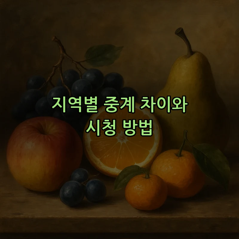 지역별 중계 차이와 시청 방법
