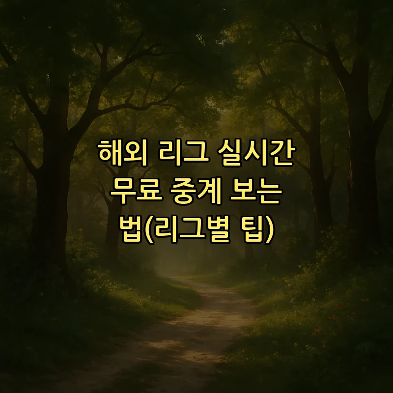 해외 리그 실시간 무료 중계 보는 법(리그별 팁)