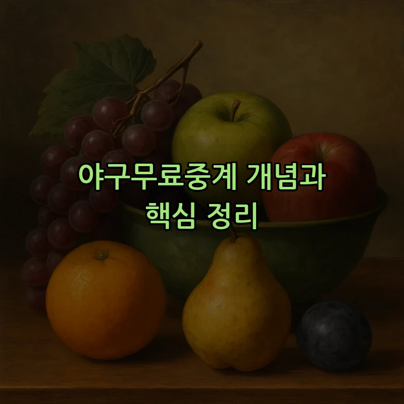 야구무료중계 개념과 핵심 정리