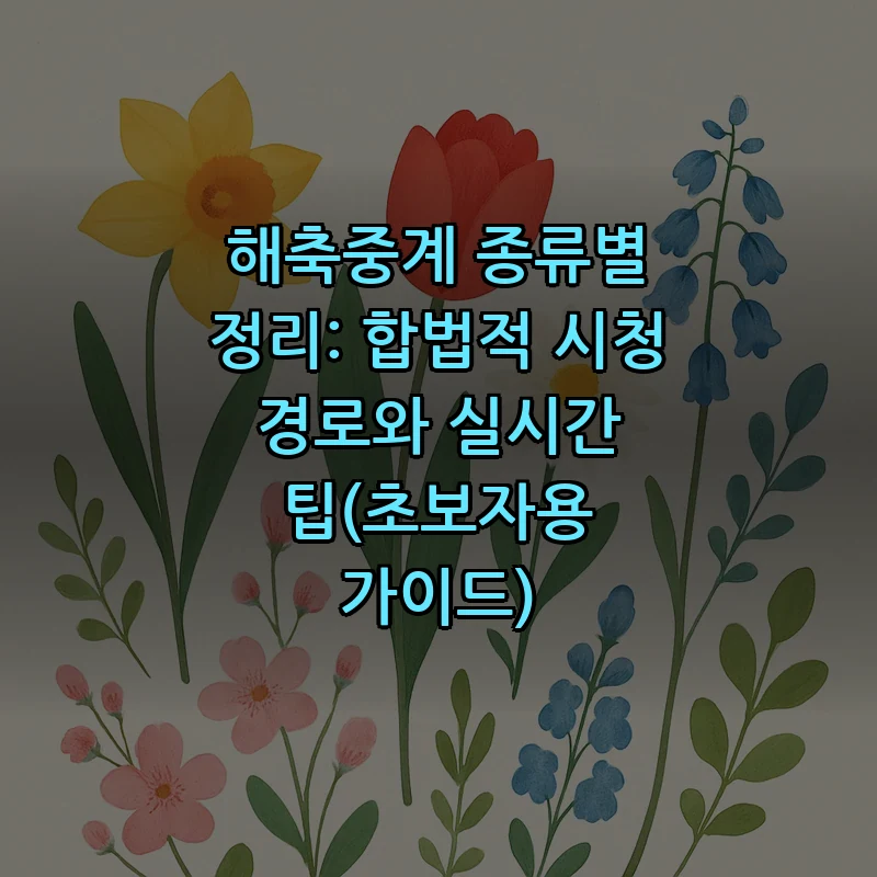 합법적으로 해외축구 시청하는 법: 단계별 가이드