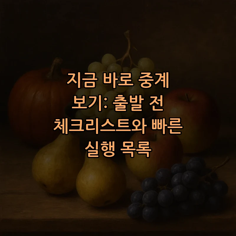 지금 바로 중계 보기: 출발 전 체크리스트와 빠른 실행 목록