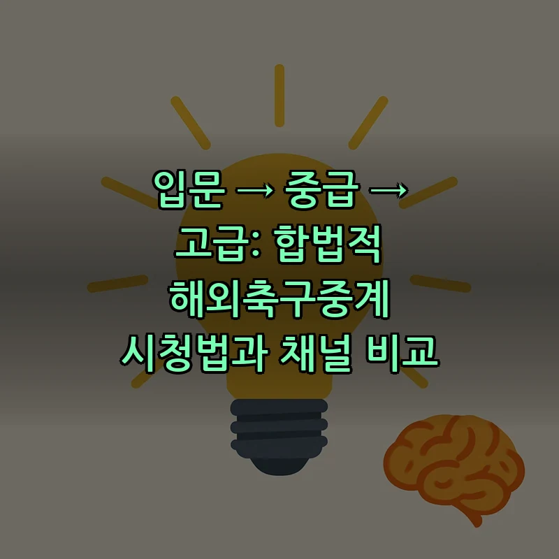 합법적 해외축구중계 시청법과 채널 비교