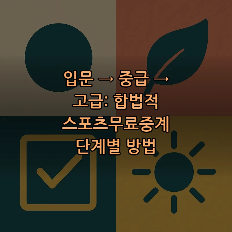 합법적 스포츠 무료 중계의 바른 접근법
