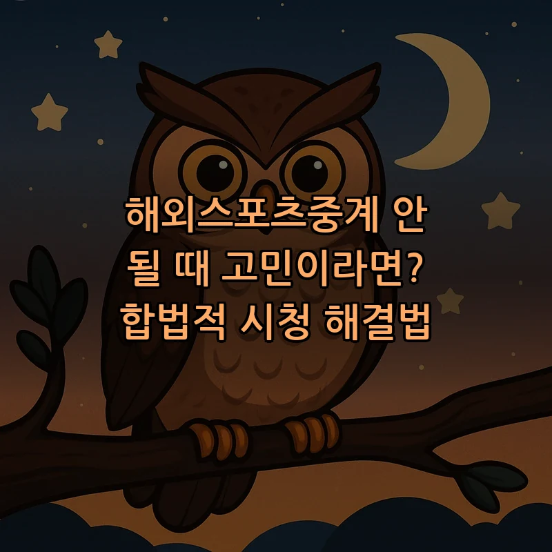 합법적으로 해외스포츠중계 시청하는 방법