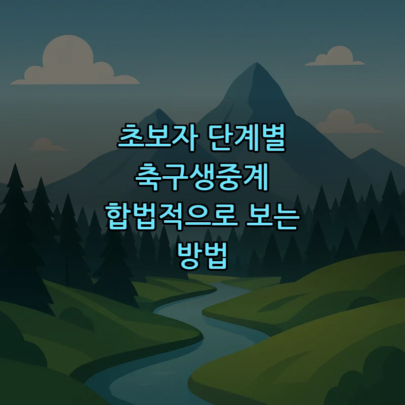 축구 생중계 초보자 가이드: 합법적으로 보는 방법