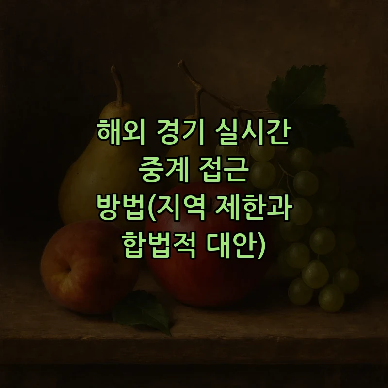 해외 경기 실시간 중계 접근 방법(지역 제한과 합법적 대안)