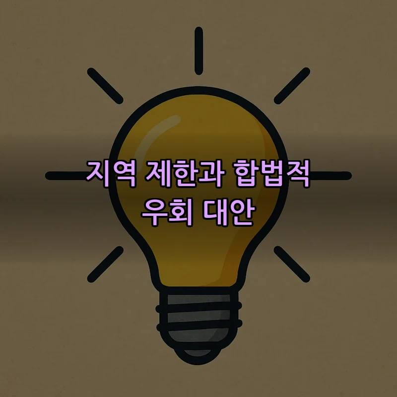 지역 제한과 합법적 우회 대안