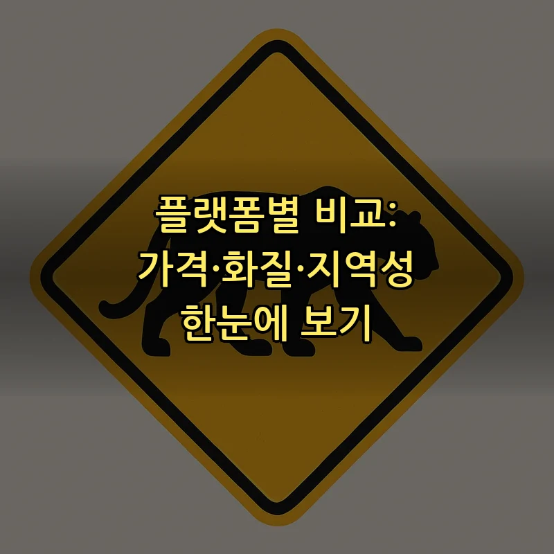 플랫폼별 비교: 가격·화질·지역성 한눈에 보기
