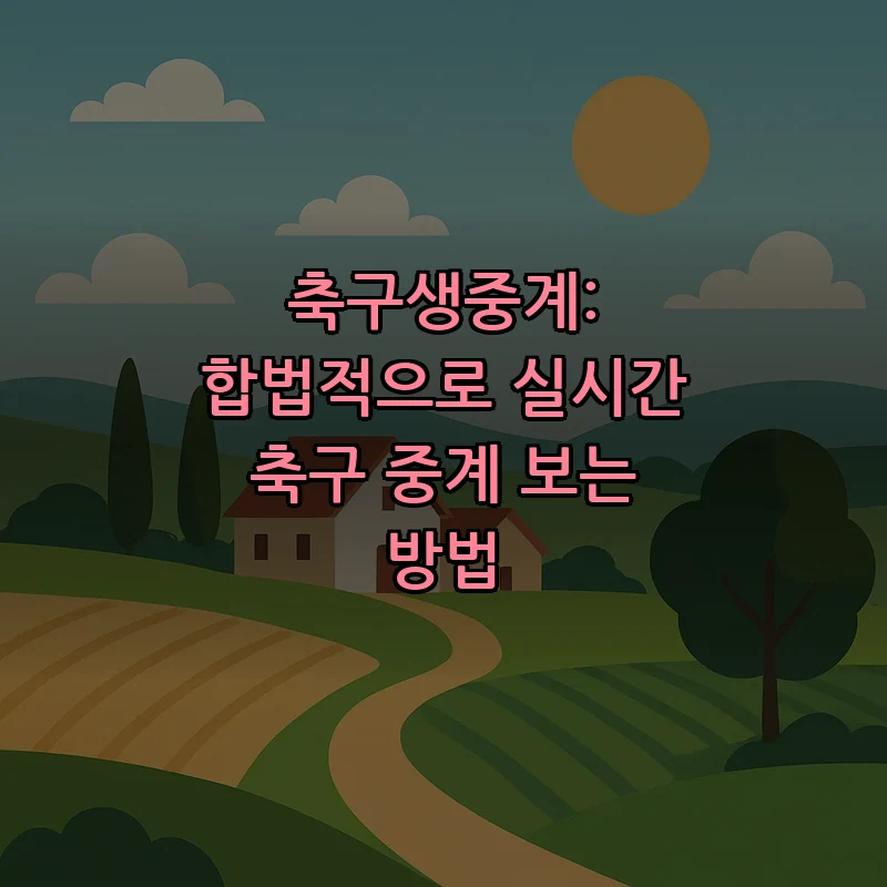 합법적으로 축구생중계 보는 법: 플랫폼 비교와 가이드