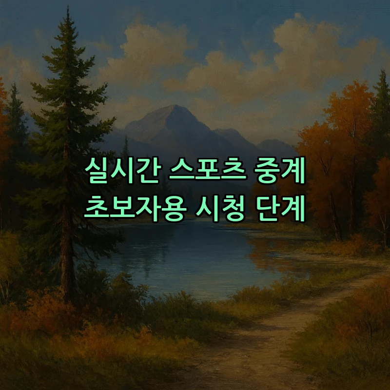 실시간 스포츠 중계 초보자용 시청 단계