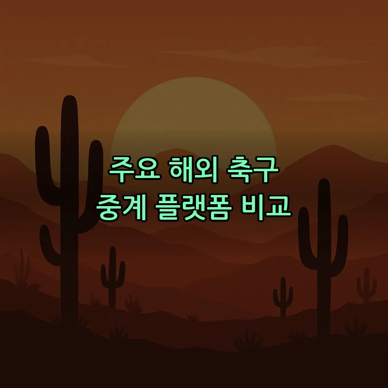 주요 해외 축구 중계 플랫폼 비교