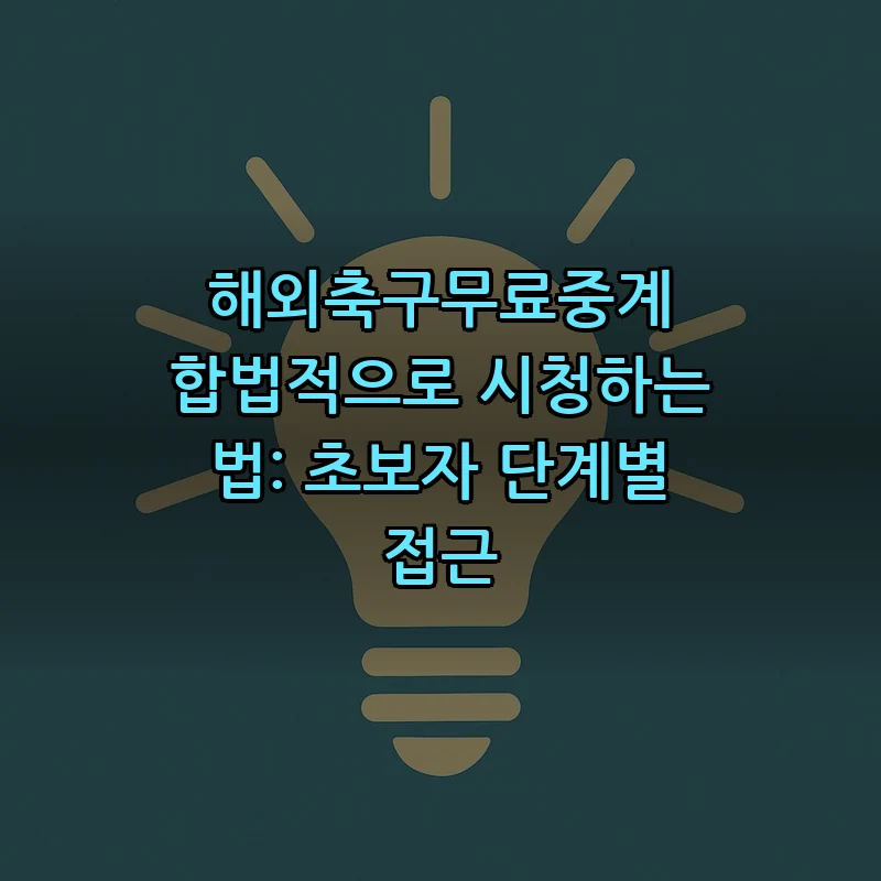 해외축구 무료 중계의 합법적 접근 방법