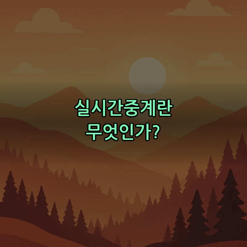 실시간중계란 무엇인가?
