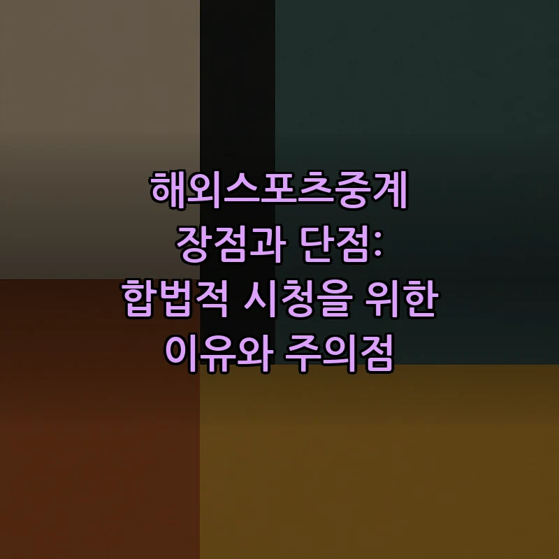 해외스포츠중계 합법적 시청을 위한 가이드