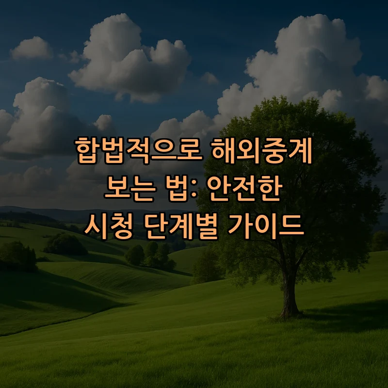 합법적으로 해외중계 보는 방법: 초보자를 위한 가이드