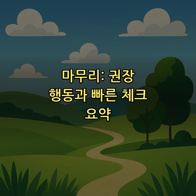 마무리: 권장 행동과 빠른 체크 요약