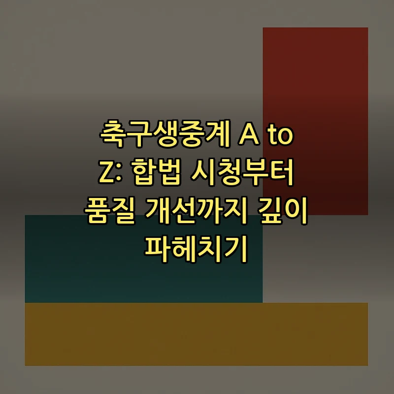 합법적으로 축구 생중계 시청하는 법