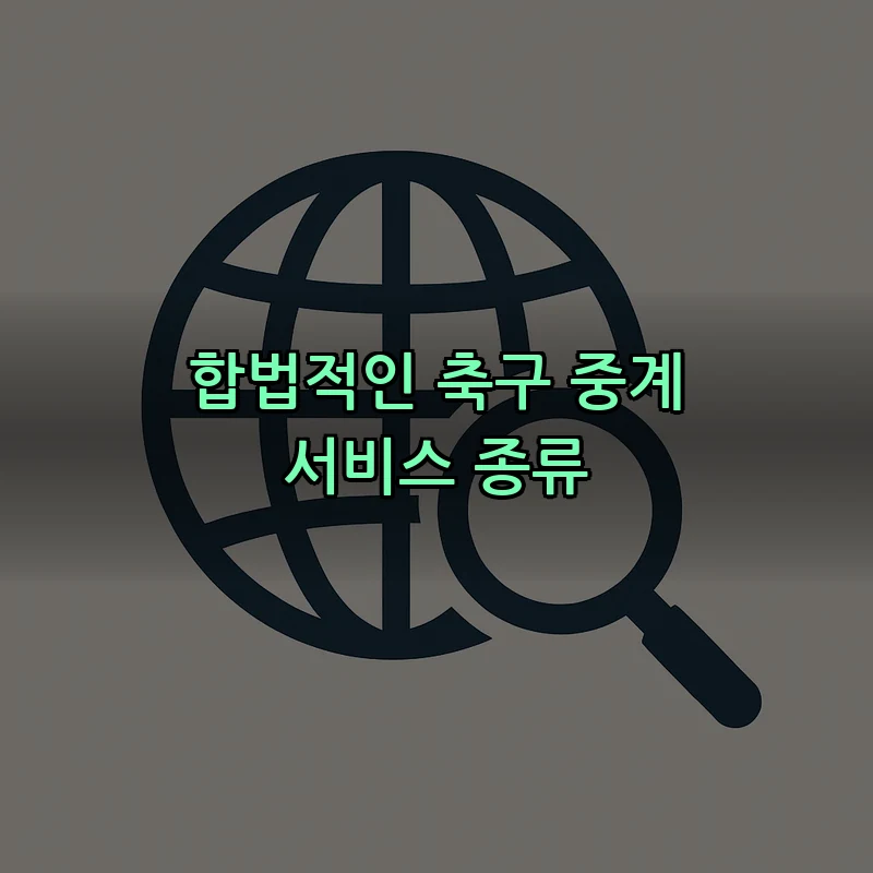 합법적인 축구 중계 서비스 종류