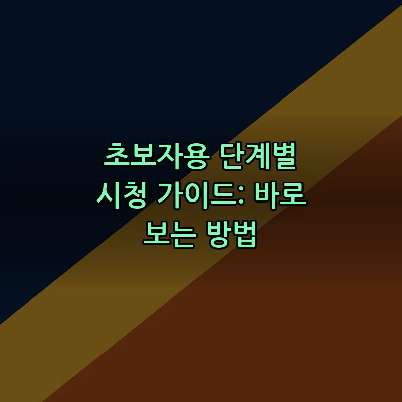 초보자용 단계별 시청 가이드: 바로 보는 방법