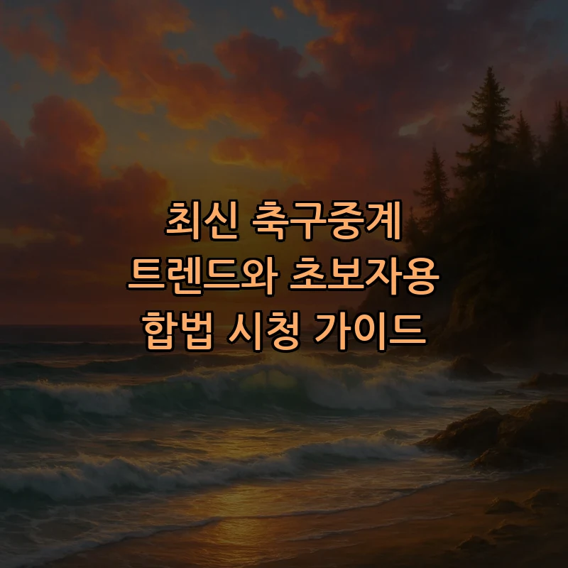 축구중계 초보자를 위한 합법적 시청 가이드