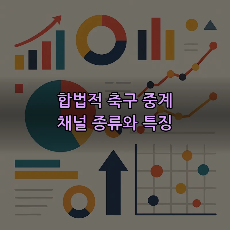 합법적 축구 중계 채널 종류와 특징