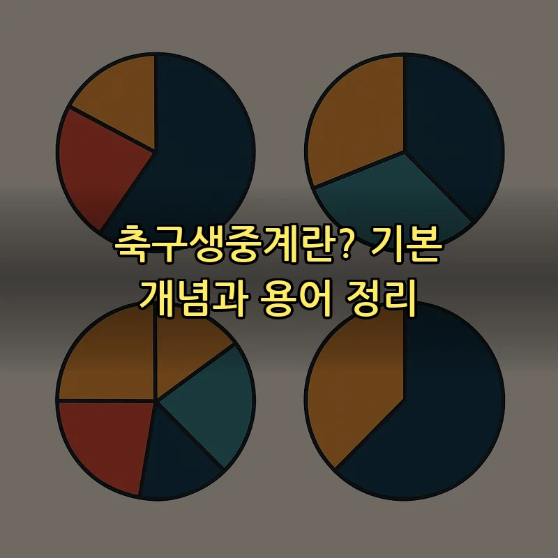 축구생중계란? 기본 개념과 용어 정리