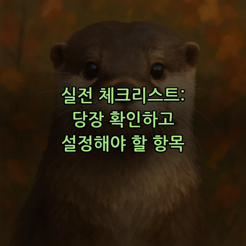 실전 체크리스트: 당장 확인하고 설정해야 할 항목