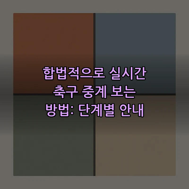 합법적으로 실시간 축구 중계 보는 방법: 단계별 안내