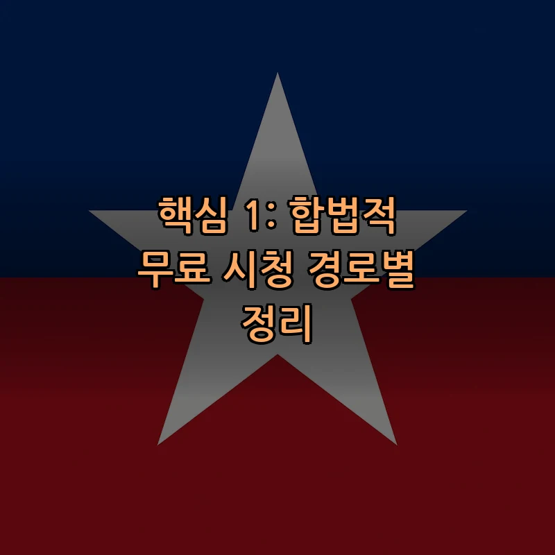 핵심 1: 합법적 무료 시청 경로별 정리