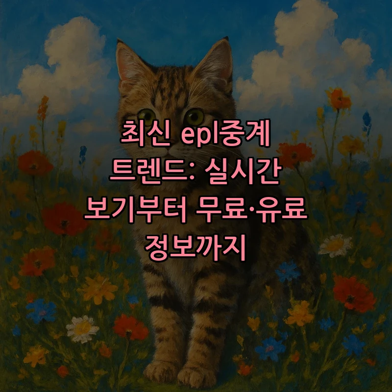 EPL 중계: 초보자를 위한 안전하고 실시간 시청 방법
