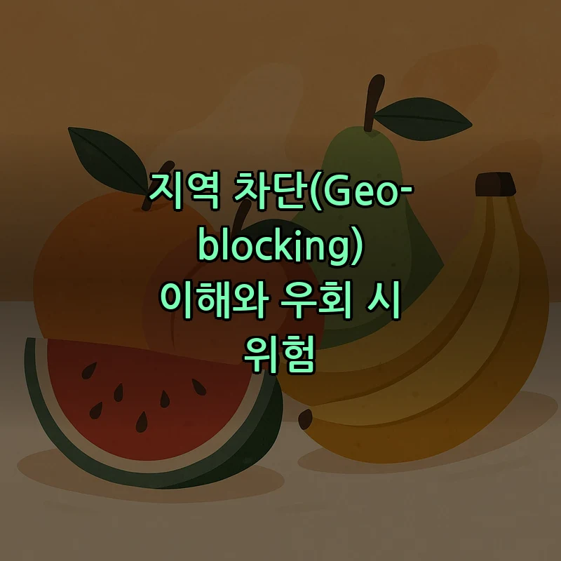 지역 차단(Geo-blocking) 이해와 우회 시 위험