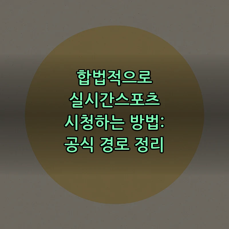 합법적으로 실시간스포츠 시청하는 방법: 공식 경로 정리