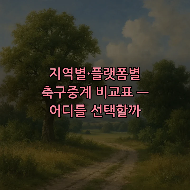 지역별·플랫폼별 축구중계 비교표 — 어디를 선택할까
