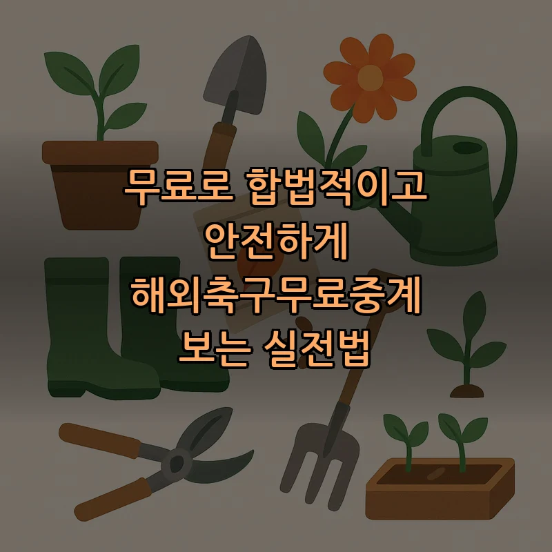 합법적으로 해외축구 무료로 보는 법