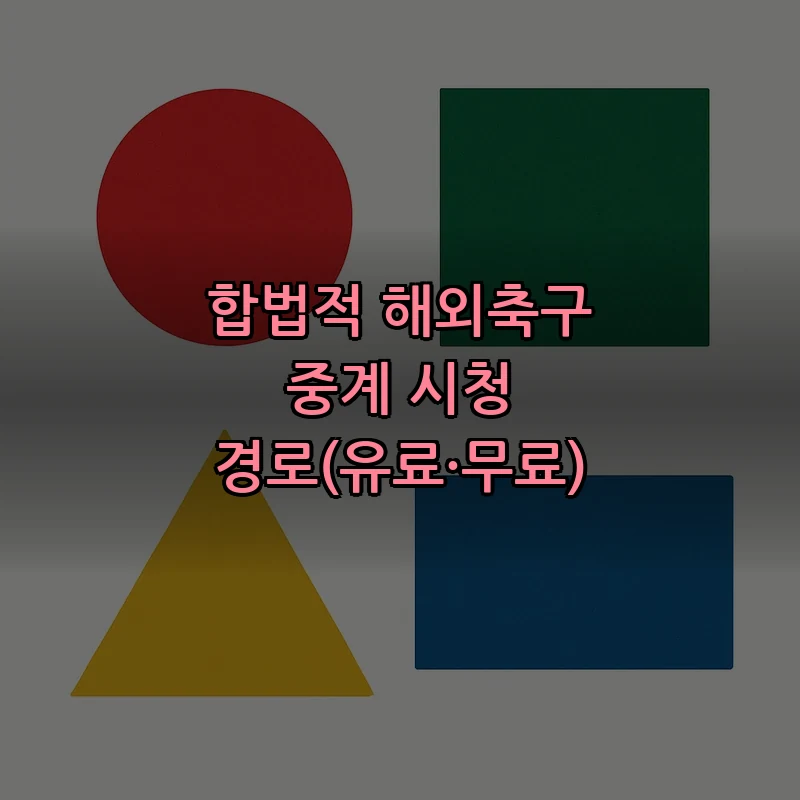 합법적 해외축구 중계 시청 경로(유료·무료)