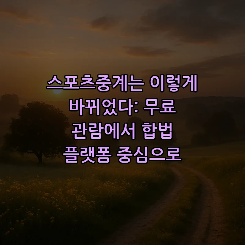 합법적인 스포츠중계 시청 방법 안내