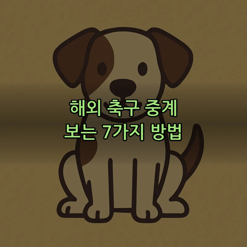 해외 축구 중계 보는 7가지 방법