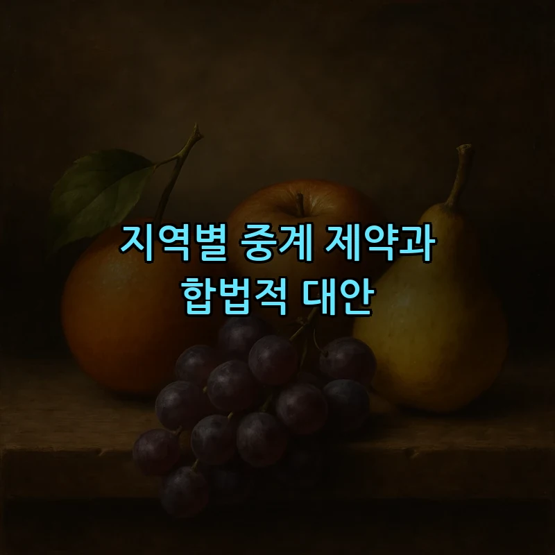 지역별 중계 제약과 합법적 대안