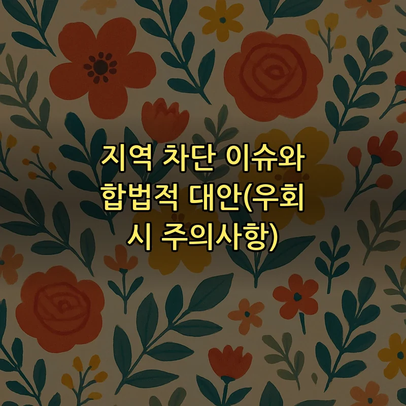 지역 차단 이슈와 합법적 대안(우회 시 주의사항)
