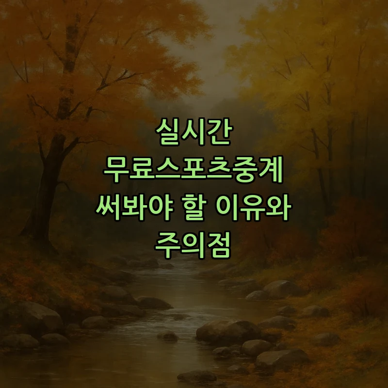무료스포츠중계의 정의와 주의점