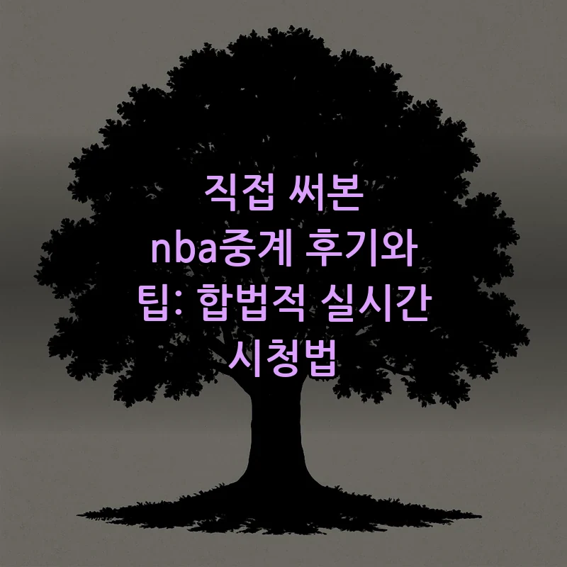 NBA 중계, 초보자를 위한 합법적 시청 가이드
